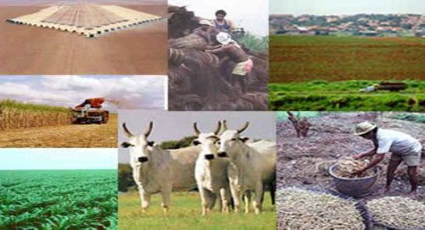 Outdoor e o Agroneg&oacute;cio   