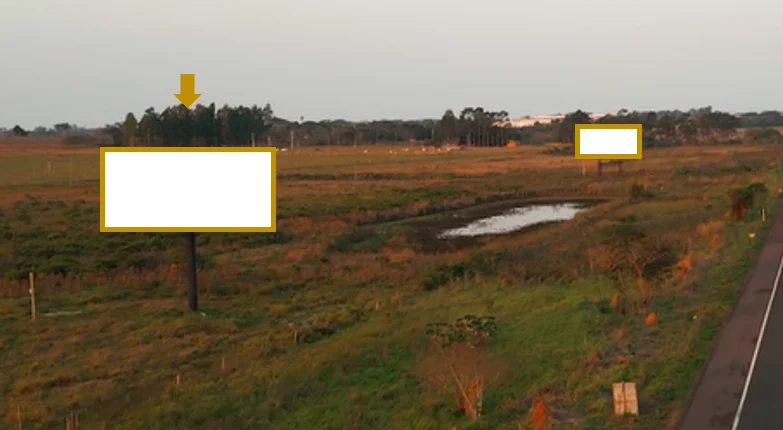 1005-dp