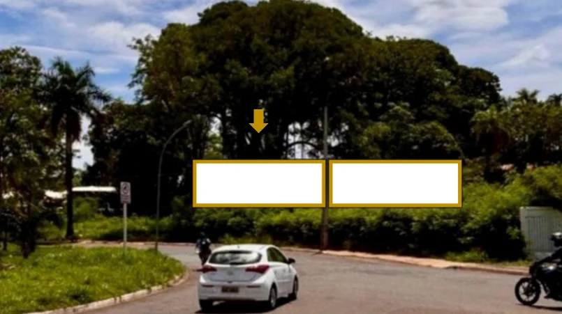 249rz